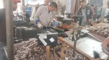 تبدأ من 20 جنيها.. أسعار الأسماك في أسواق دمياط اليوم الأحد 26 أبريل 2026